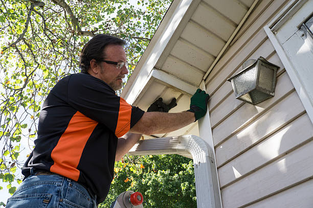 Best Carpet Removal and Disposal  in Albany, KY